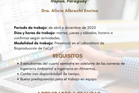 Convocatoria Docentes Investigadores 2025