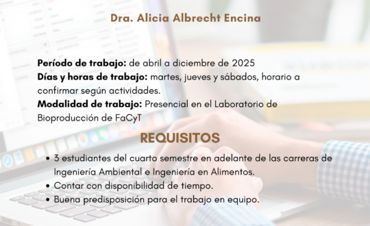 Convocatoria Docentes Investigadores 2025