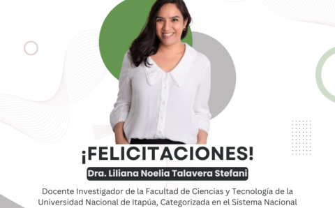 Categorización_Liliana Talavera (1)