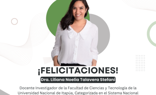 Categorización_Liliana Talavera (1)