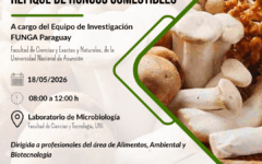 CAPACITACIÓN_hongos comestibles