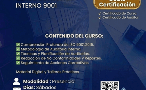 Auditor interno