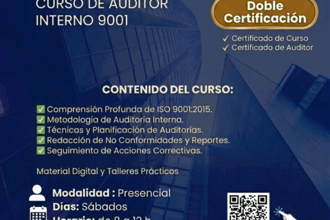 Auditor interno