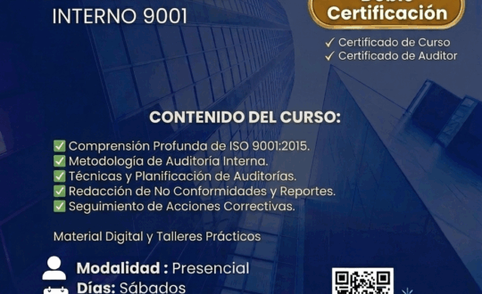 Auditor interno